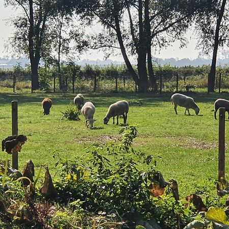 De Zeeuwsche Hoeve Kerkwerve Eksteriør bilde