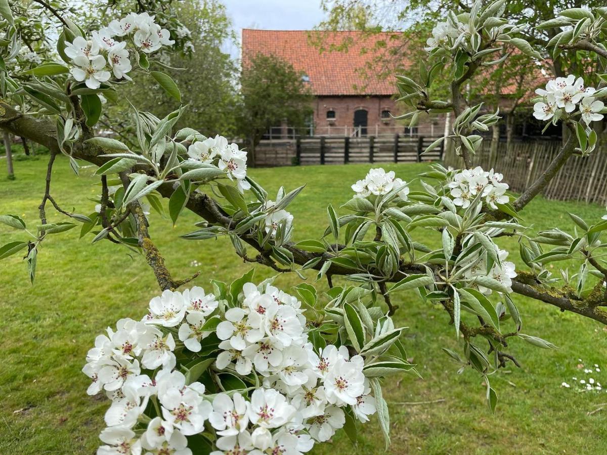 De Zeeuwsche Hoeve Kerkwerve Eksteriør bilde