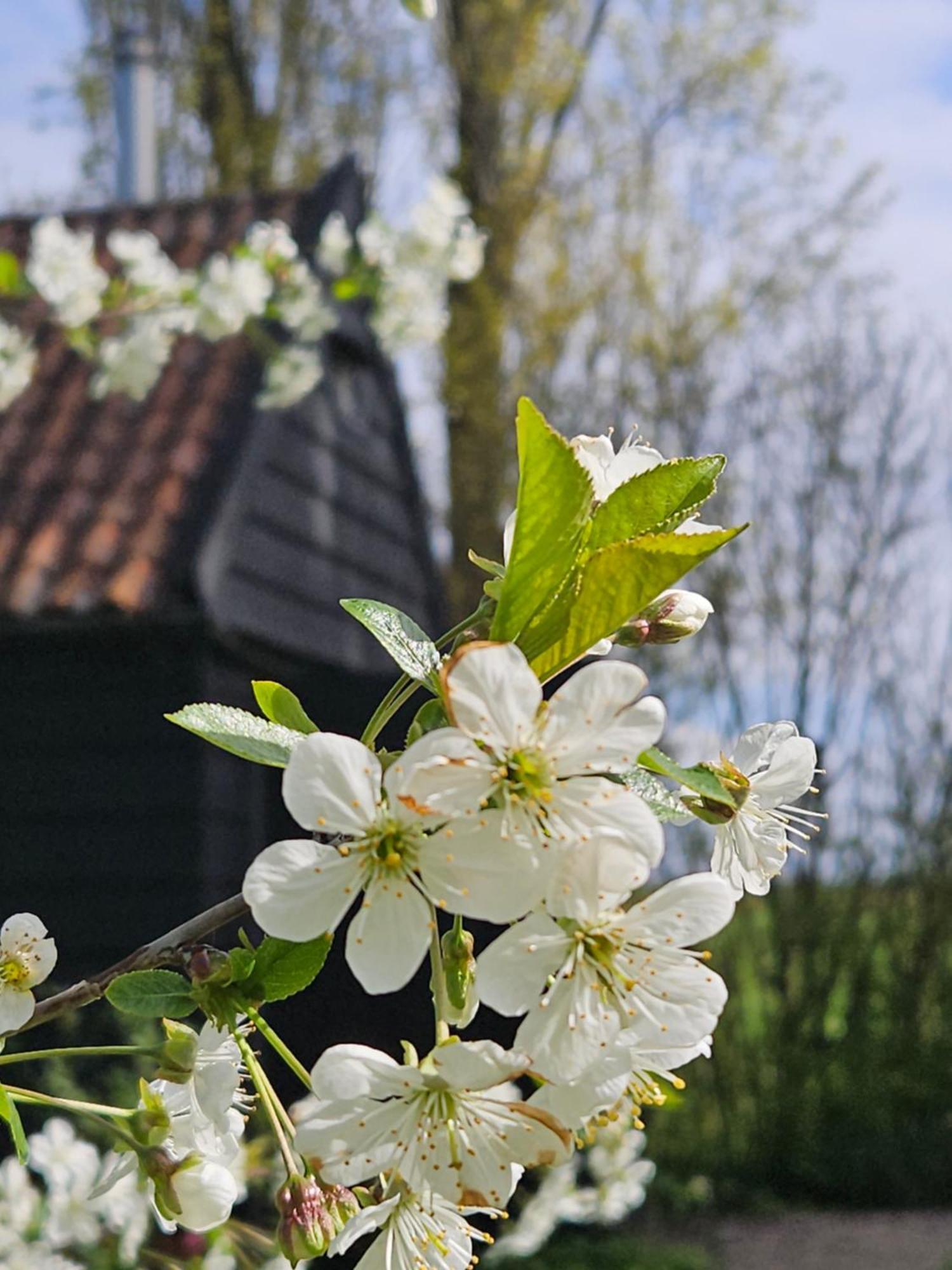 De Zeeuwsche Hoeve Kerkwerve Eksteriør bilde