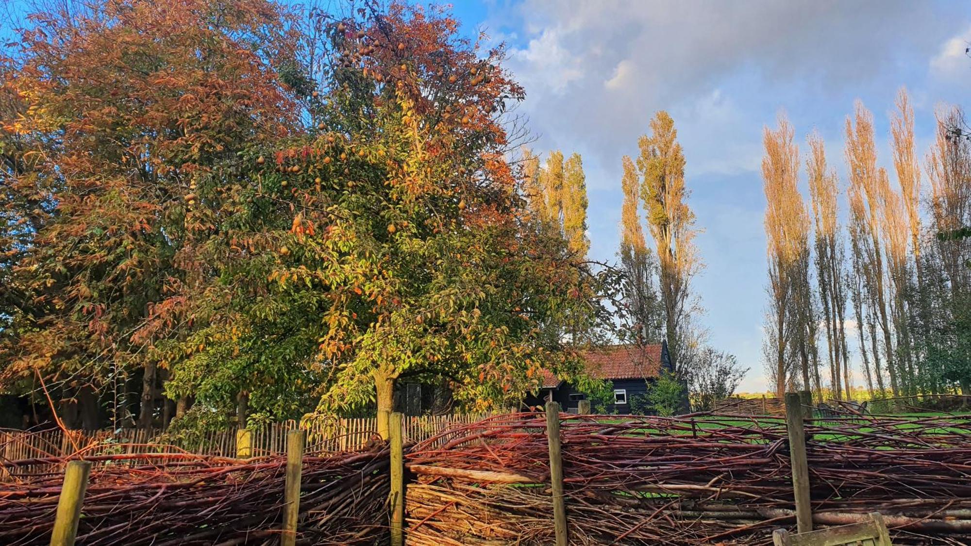 De Zeeuwsche Hoeve Kerkwerve Eksteriør bilde