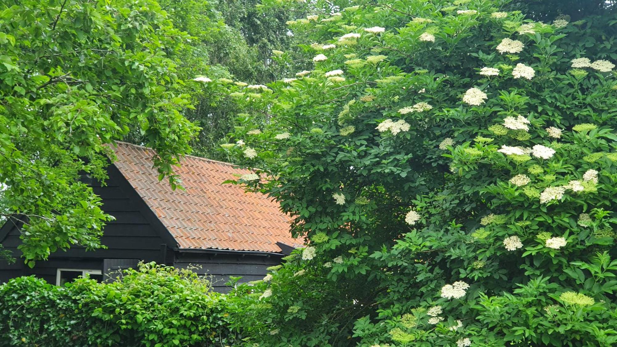 De Zeeuwsche Hoeve Kerkwerve Eksteriør bilde