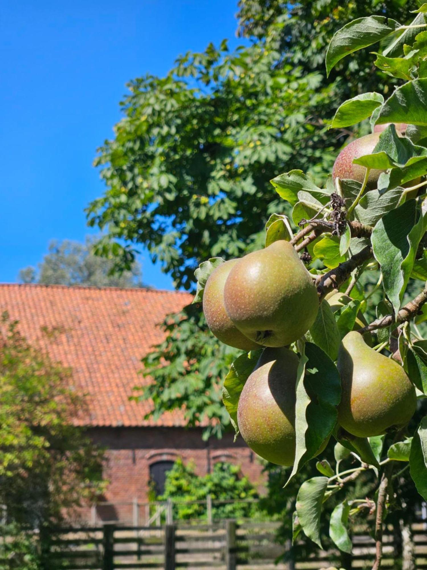 De Zeeuwsche Hoeve Kerkwerve Eksteriør bilde
