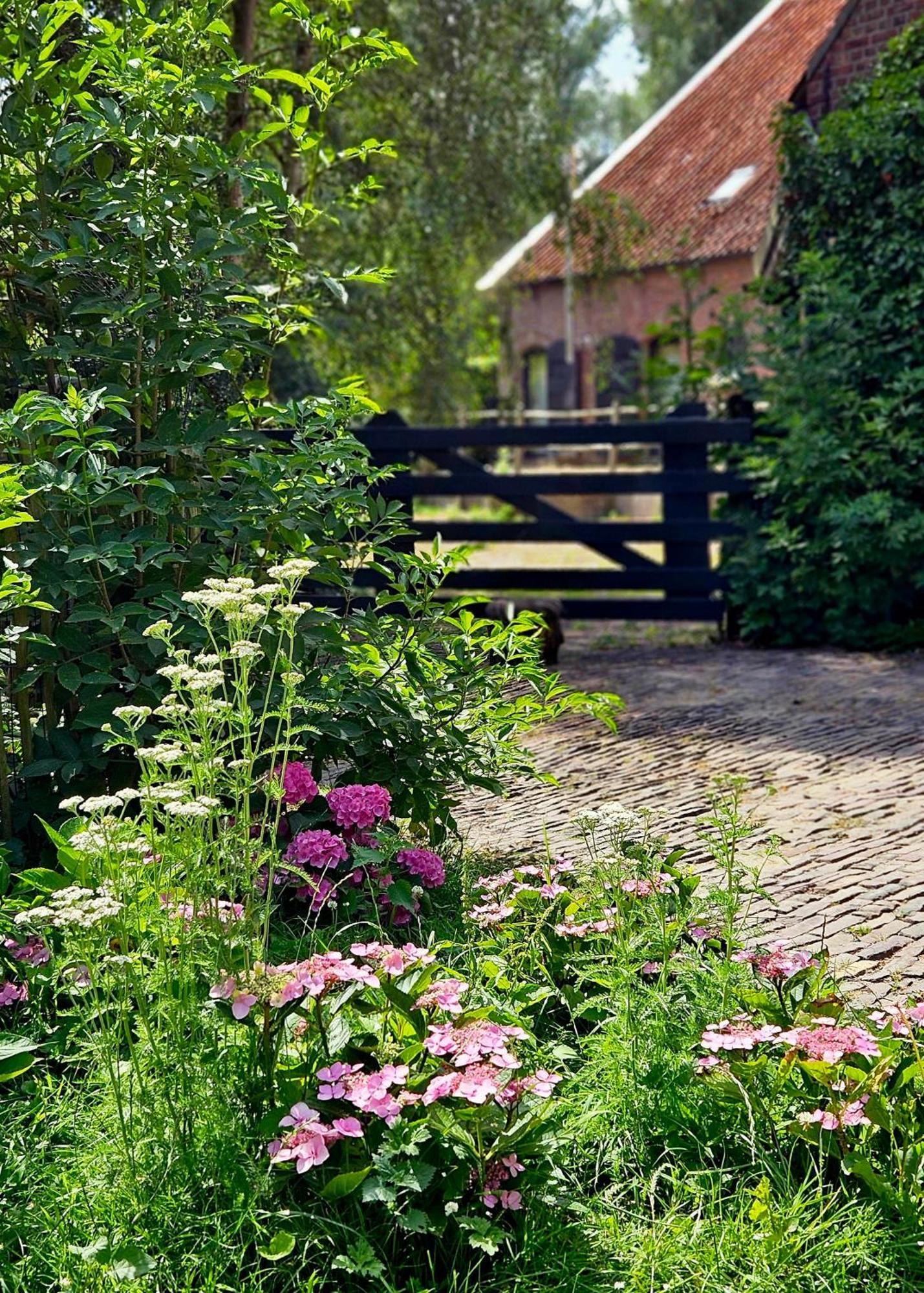 De Zeeuwsche Hoeve Kerkwerve Eksteriør bilde